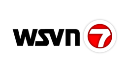 WSVN 7 News