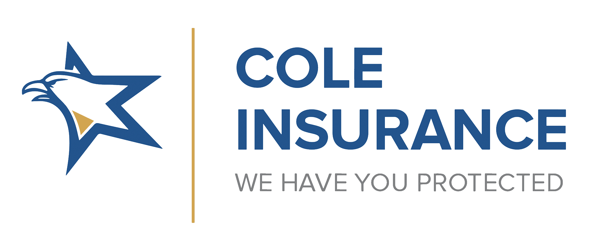 Cole Insurance Services