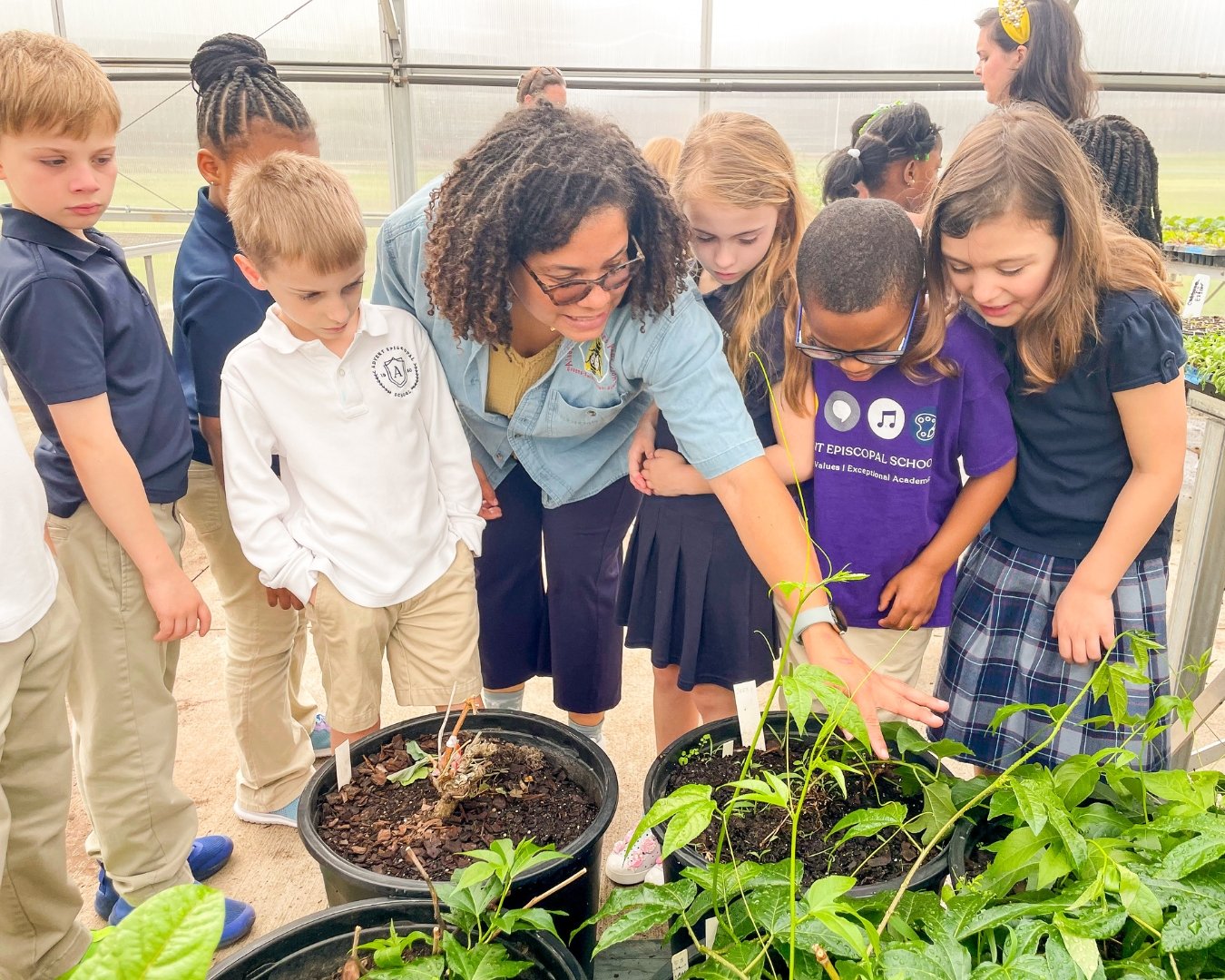 Students exploring a farm