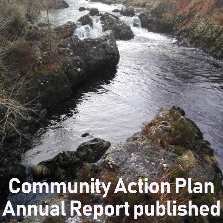 Community Action Plan Annual Report Published