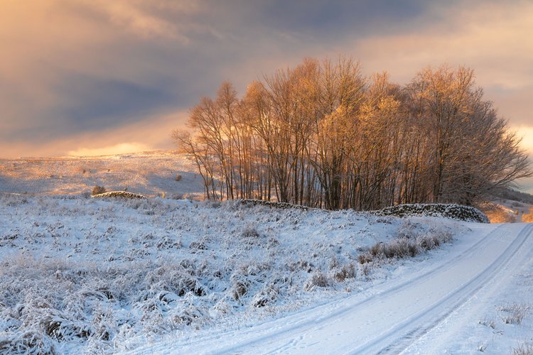 Gate-hill Road, Glenlee by Duncan McNaught