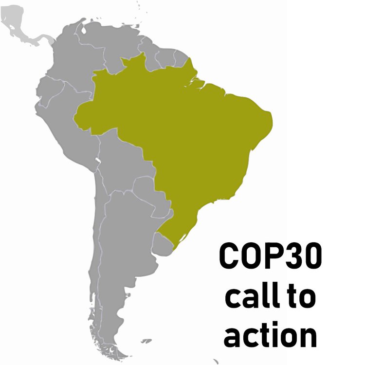 COP30 call to action