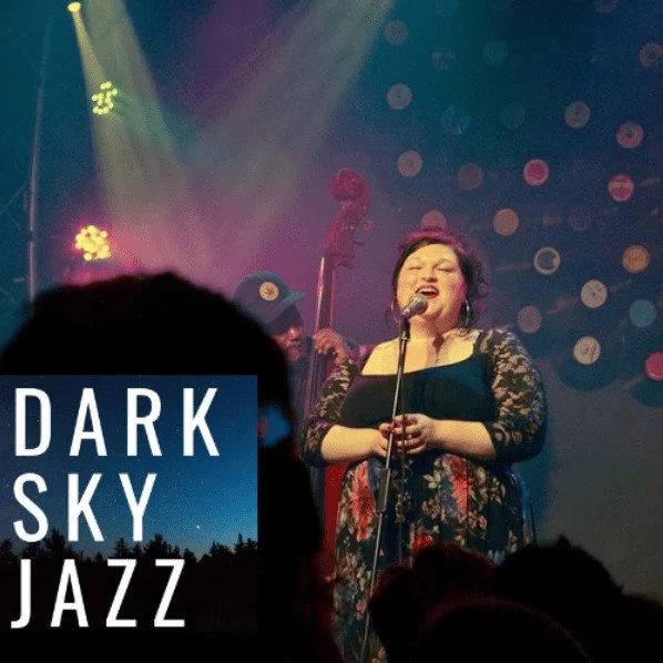 Dark Skies Jazz - Marianne McGregor