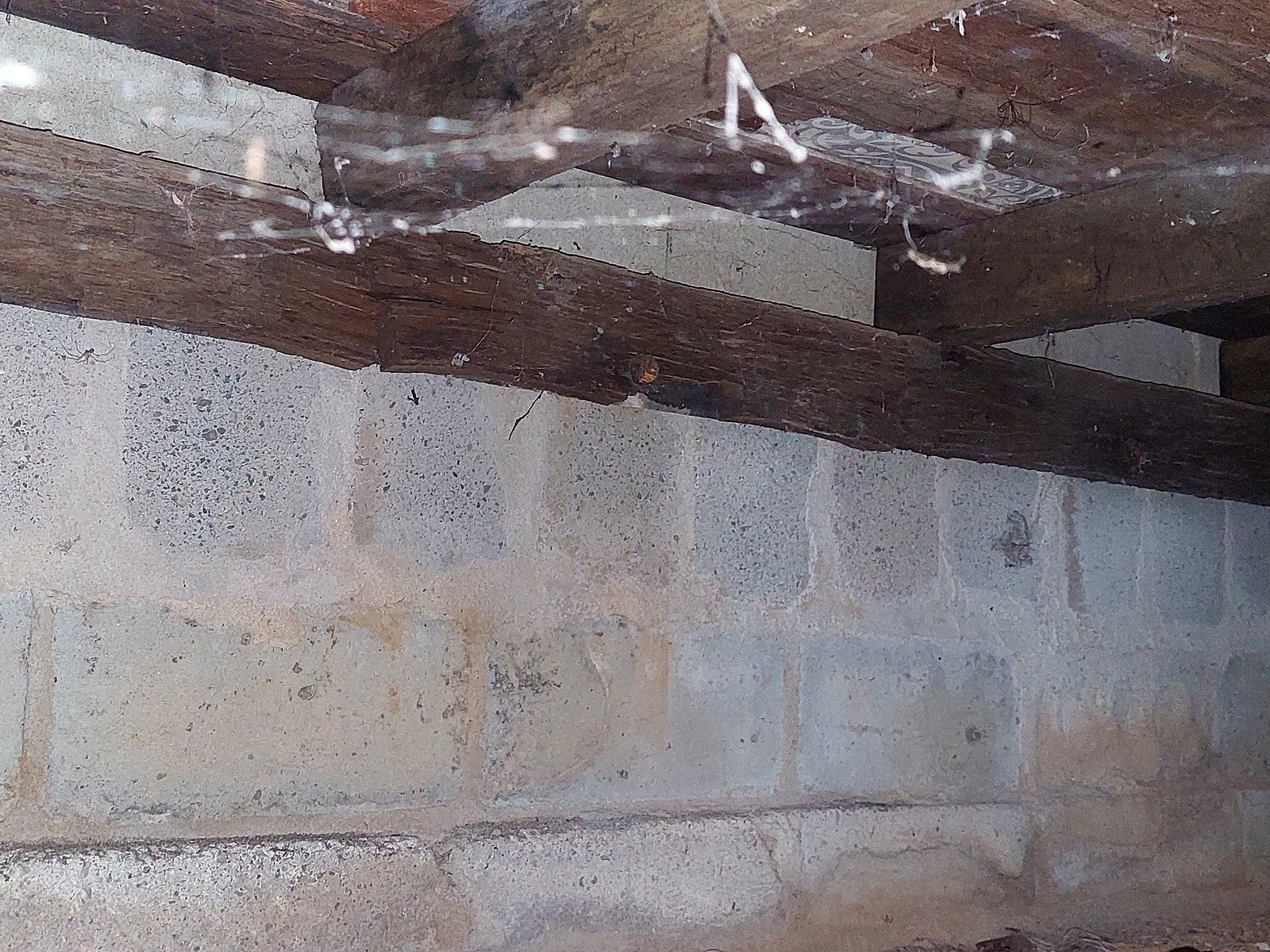 Accessible timbers and ground beneath a suspended floor.