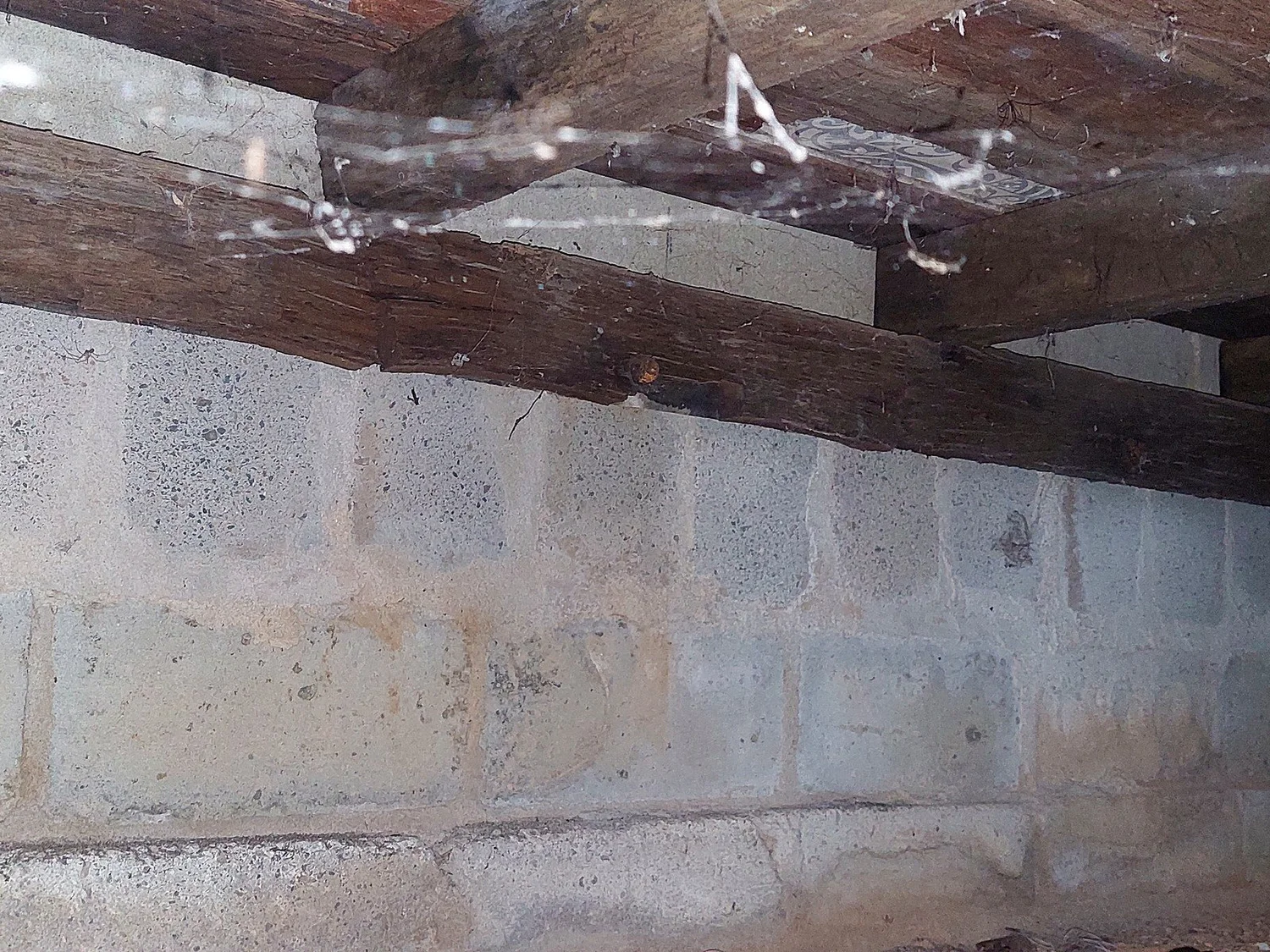 Accessible timbers and ground beneath a suspended floor.