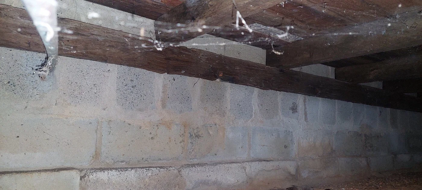 Under-floor space of a Coffs Harbour home, subfloor timber and block piers, assessed for moisture and airflow
