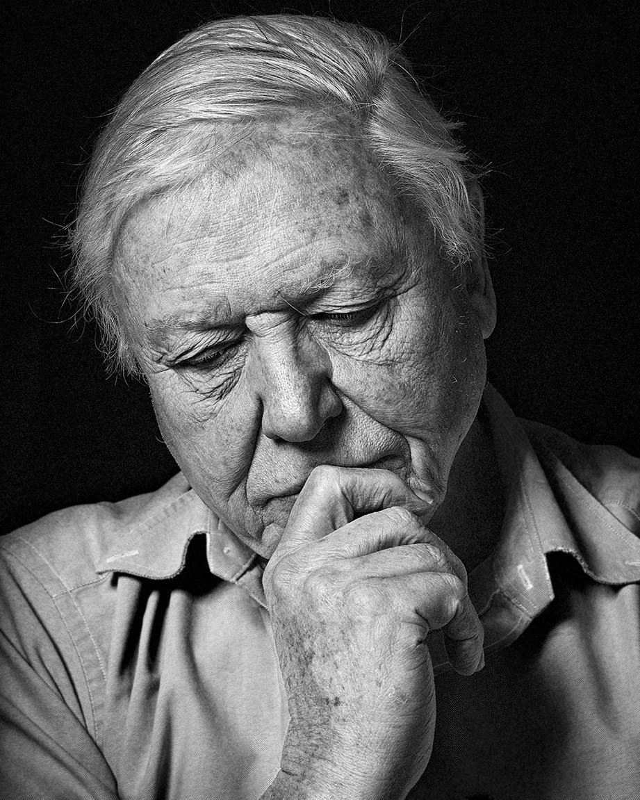 Sam Faulkner Portfolio