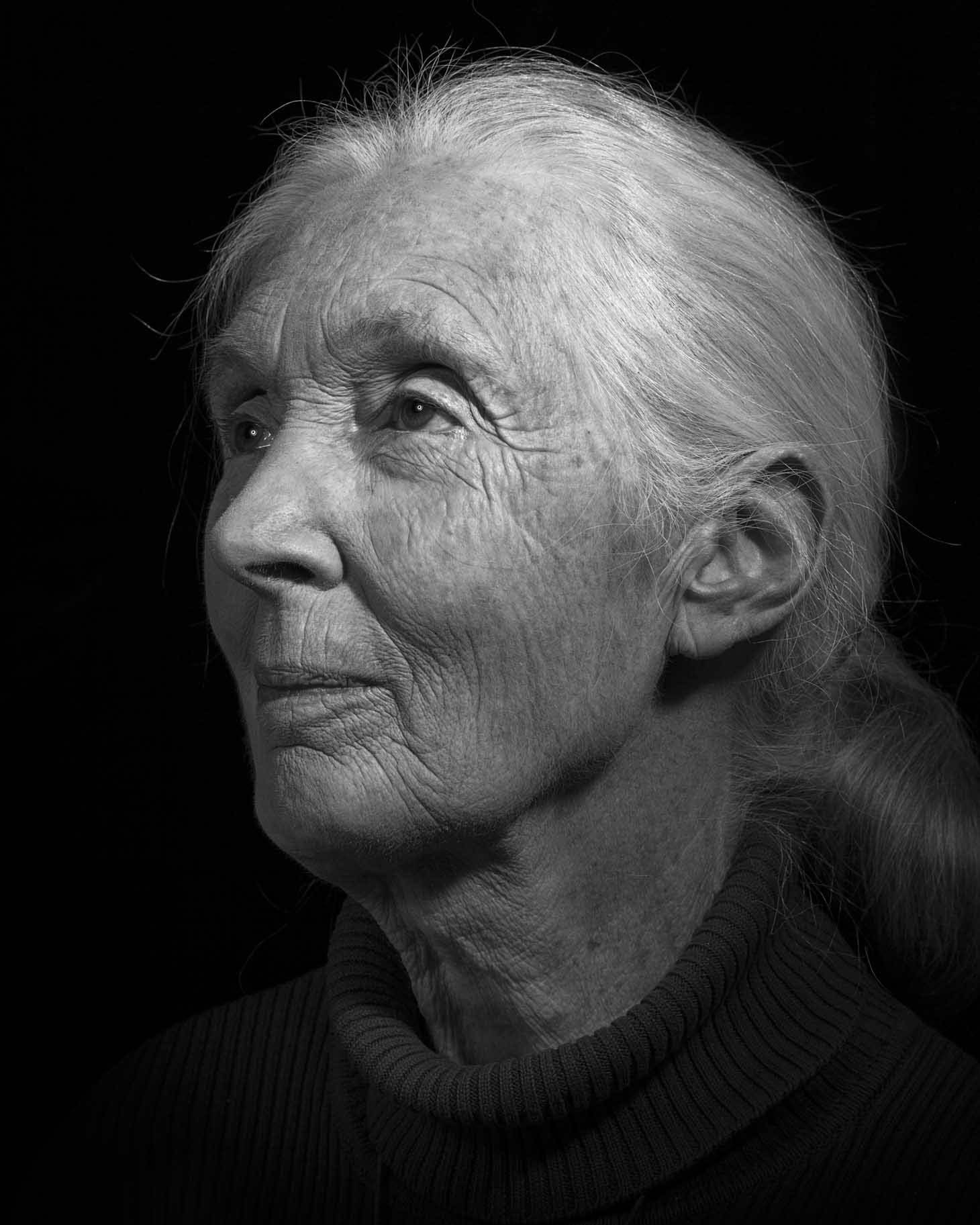 Sam Faulkner Portfolio