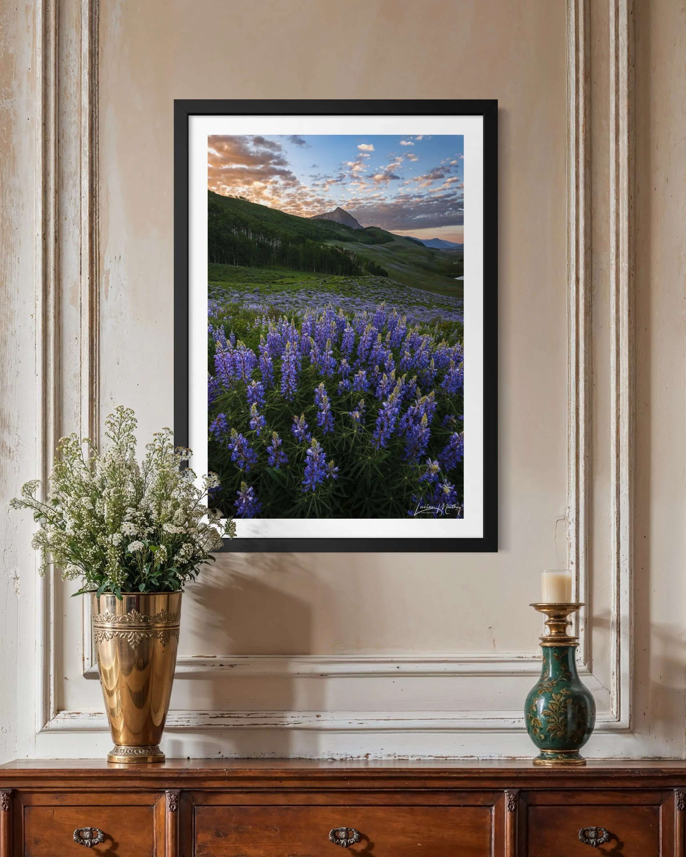Colorado wildflower photography fine art print — Wildflower Capital of Colorado by Lucian Manthey