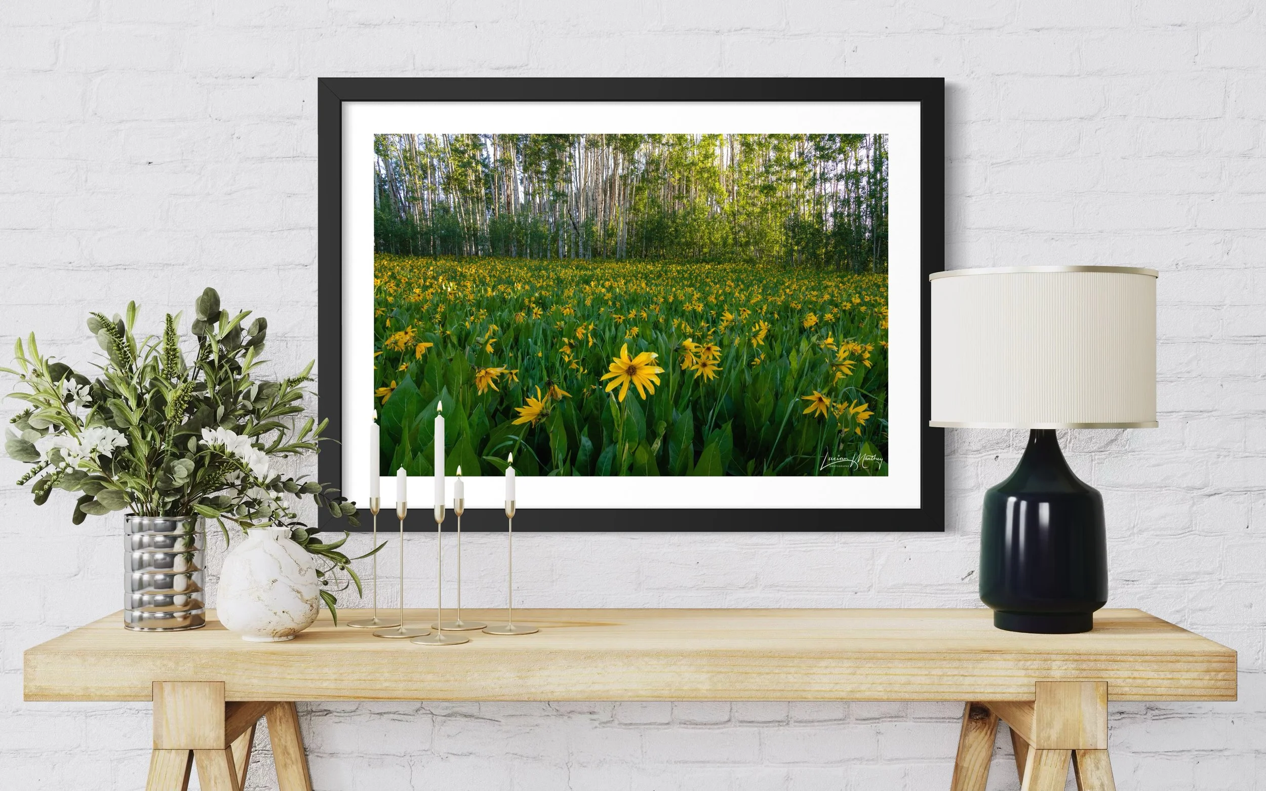 Kebler Pass wildflowers Colorado — fine art landscape photography print by Lucian Manthey