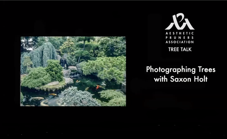 Tree Talk with Saxon Holt