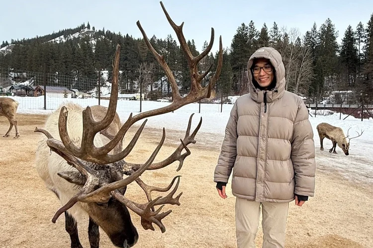 Reindeer comparison with Kevin at the side