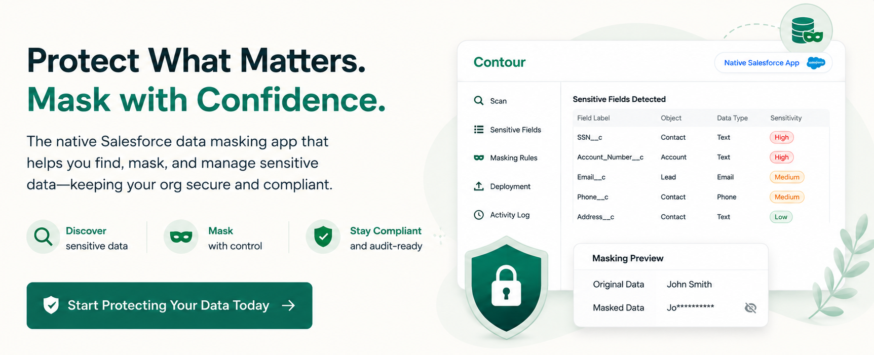 Salesforce Data Masking Solution