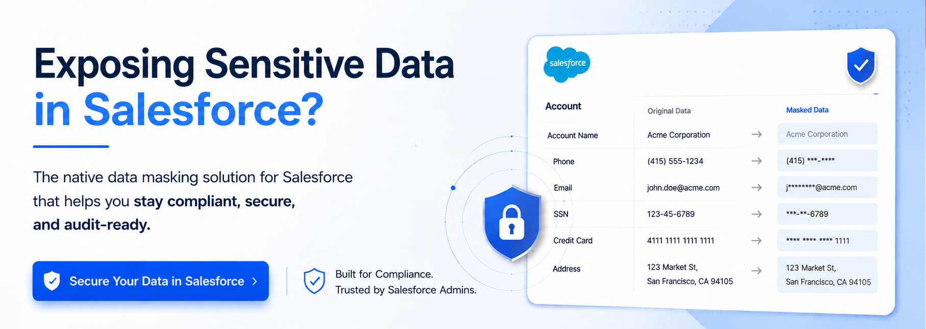 Salesforce Data Masking Solution