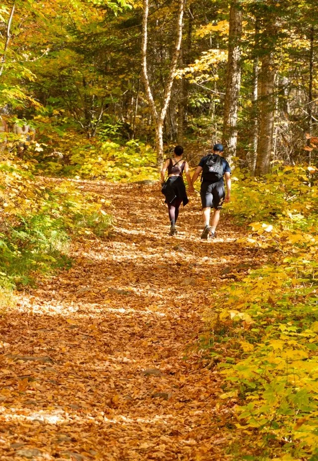 Couple enjoying an easy autumn trail, used as an illustrative outdoor scene