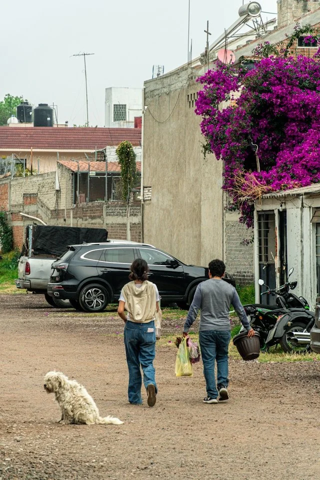 Adults walk outdoors with a dog and groceries, illustrating real-world balance demands