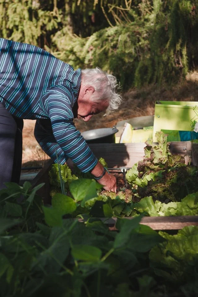 Older man tends a garden during a daily bending task