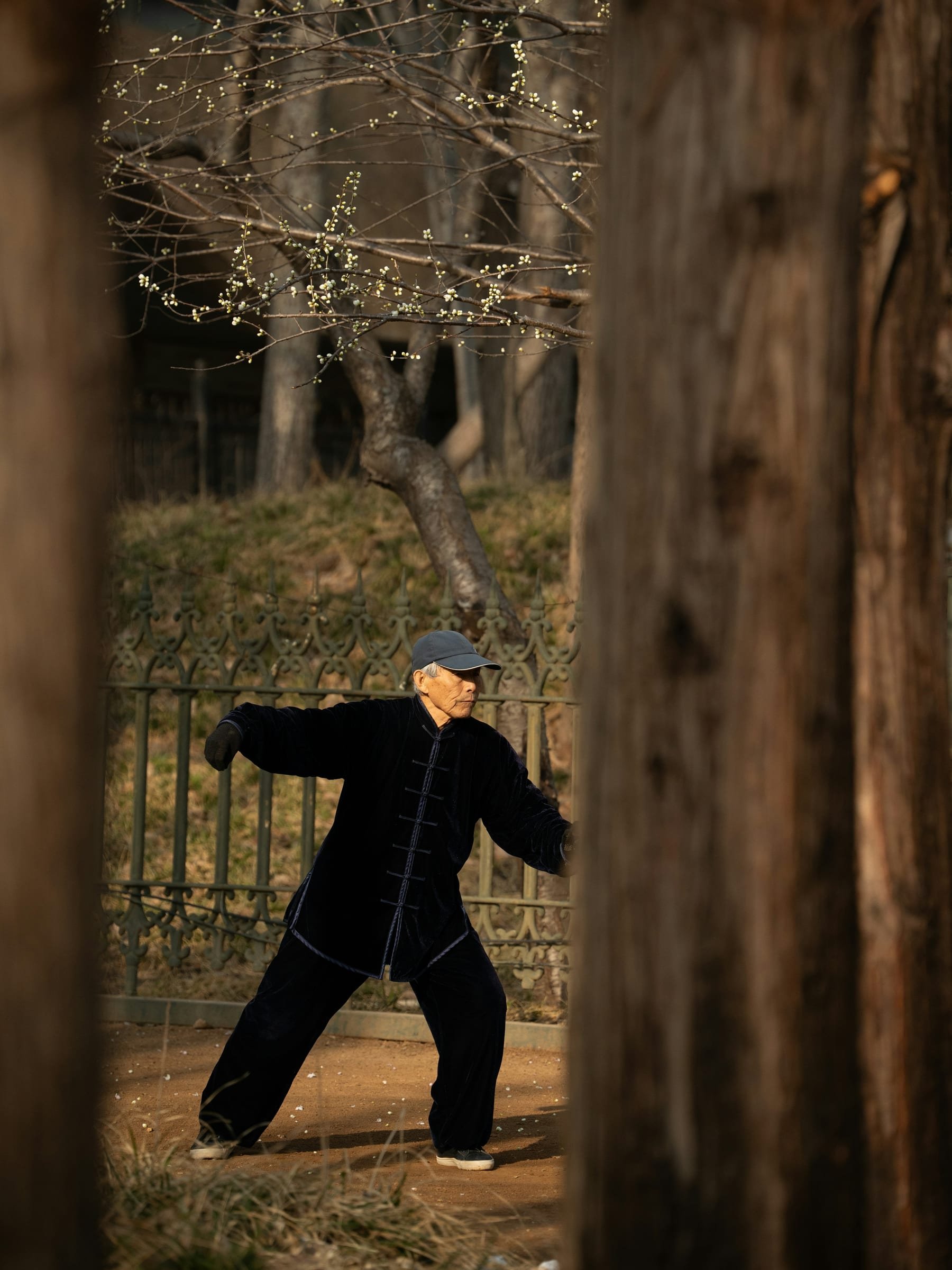 Older man practicing tai chi between trees in a park.