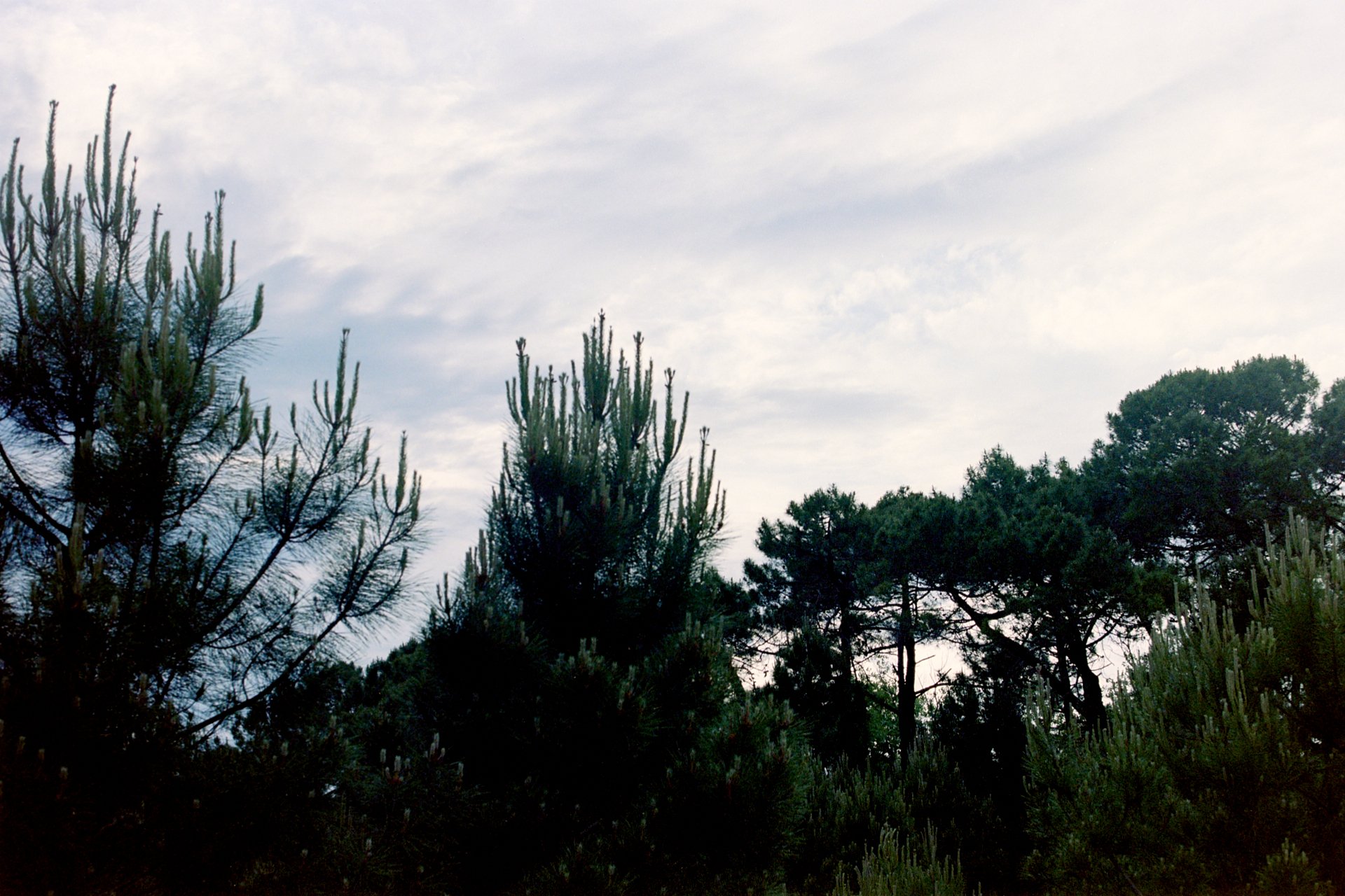 Photographie seule