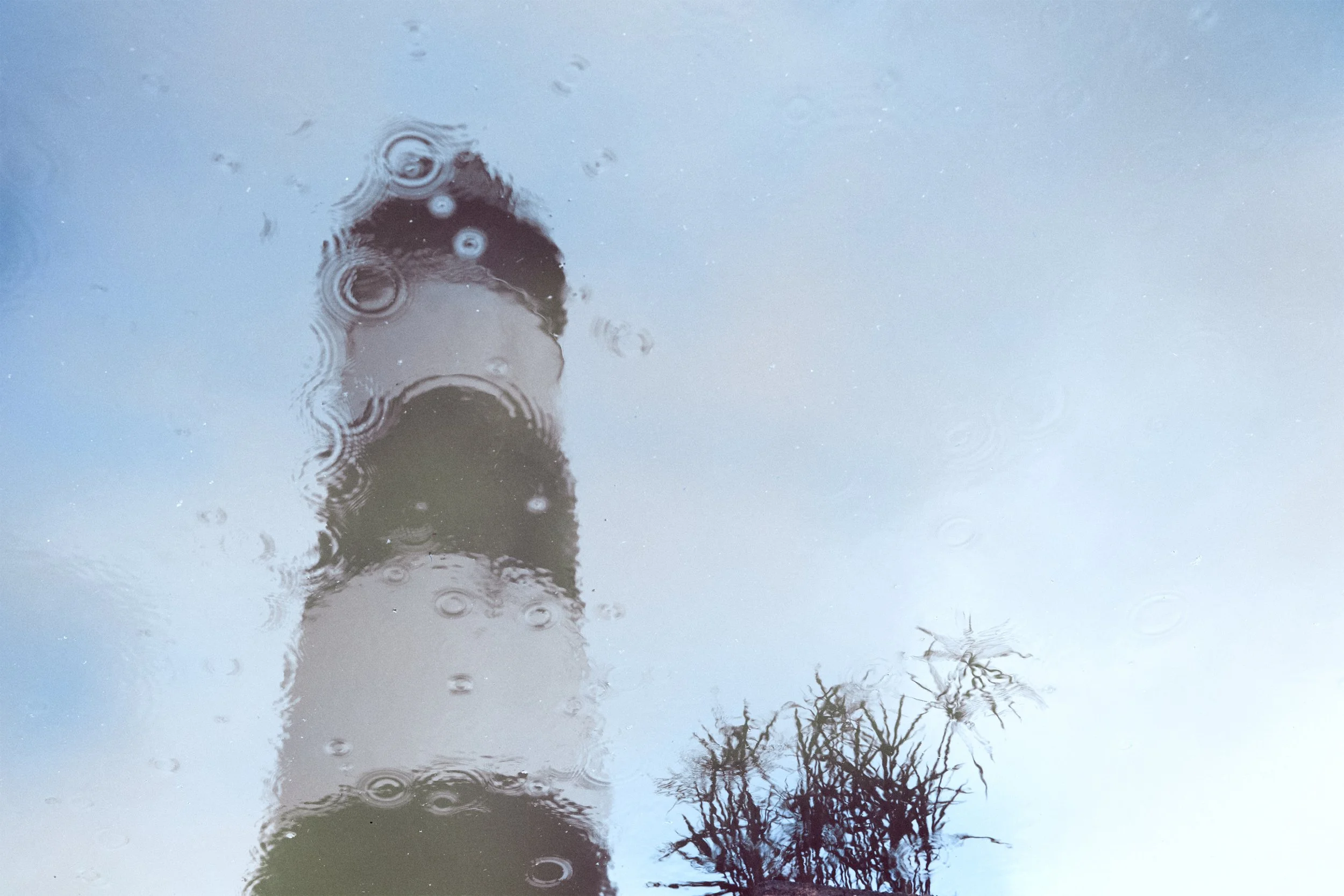 Photographie seule