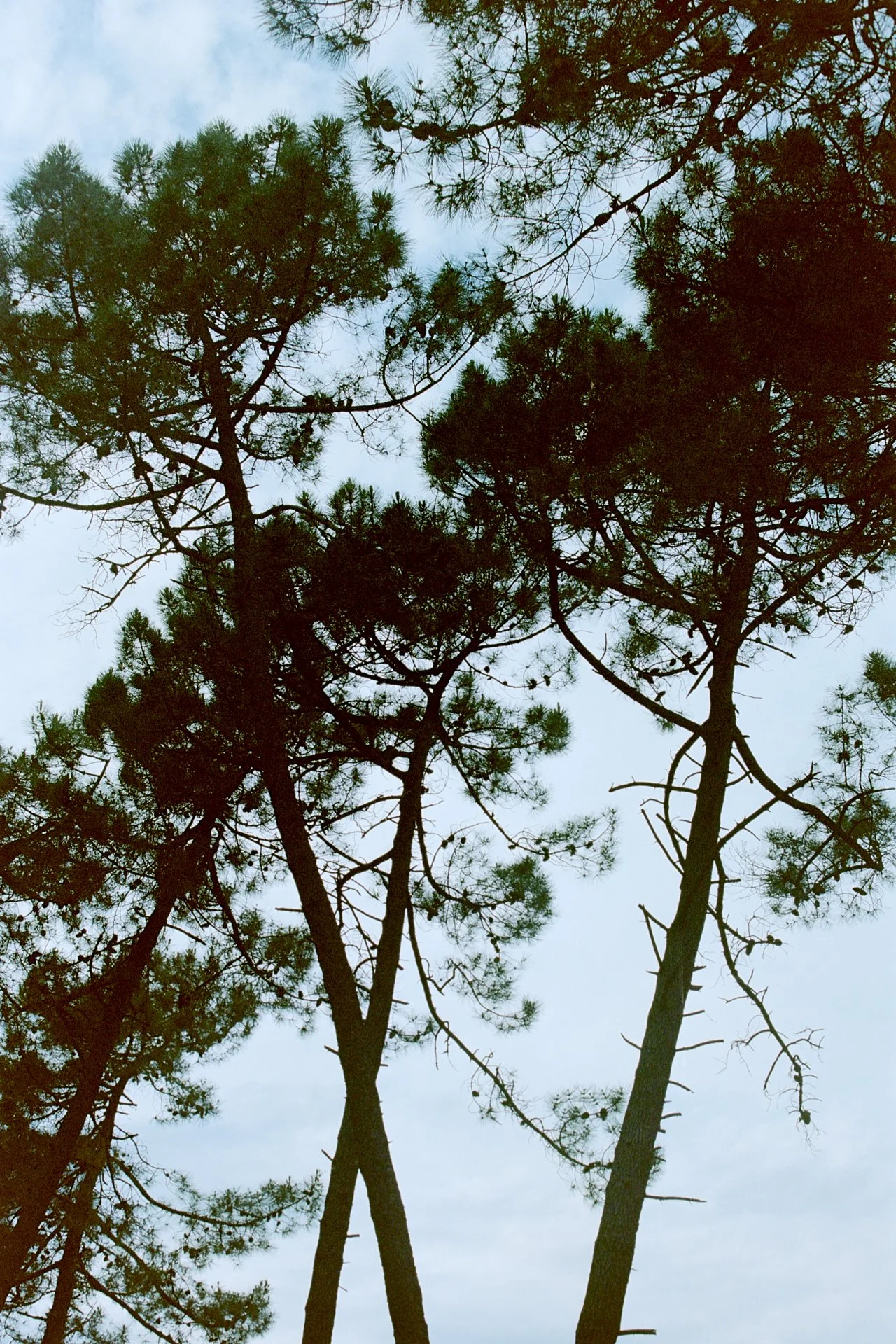 Photographie seule
