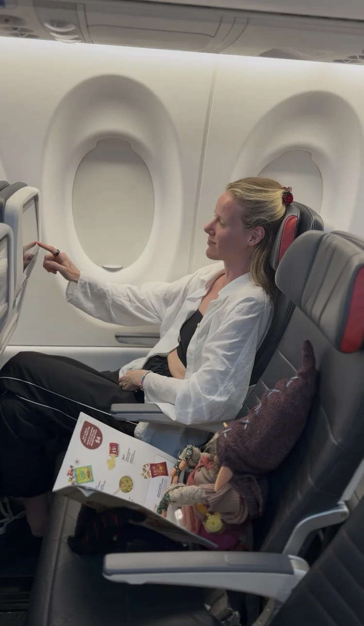 Avion Alux on a flight