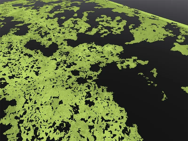 Photogrammetry point cloud showing canopy only