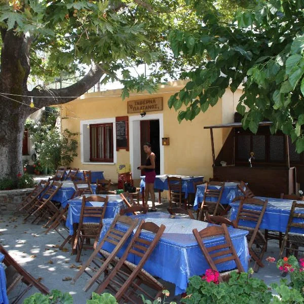 Taverna
