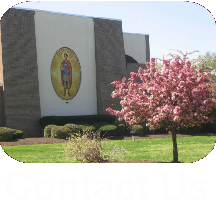 Link to Contacts Page