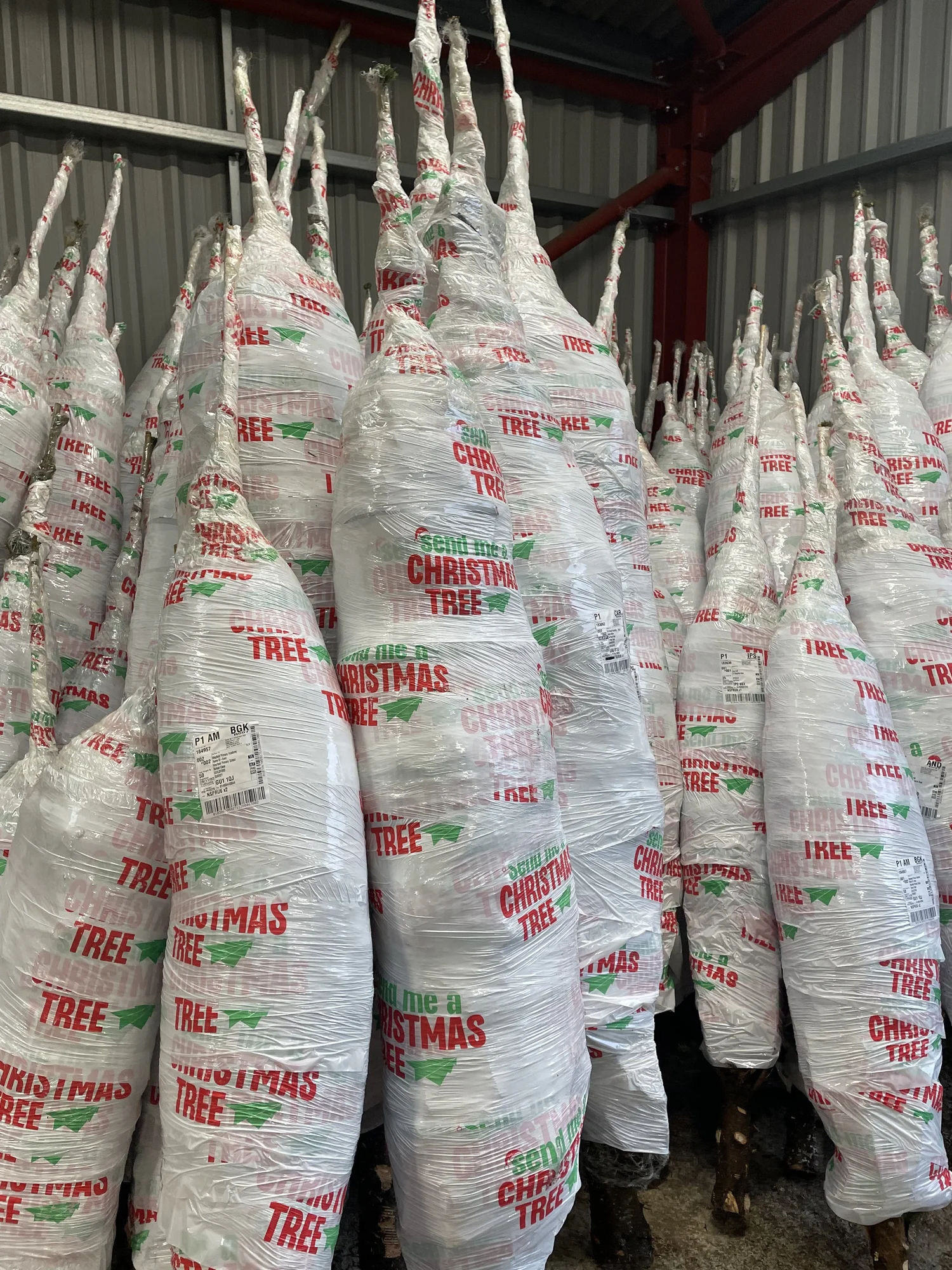Branded sustainable pallet wrap securing pallets for international and UK shipping