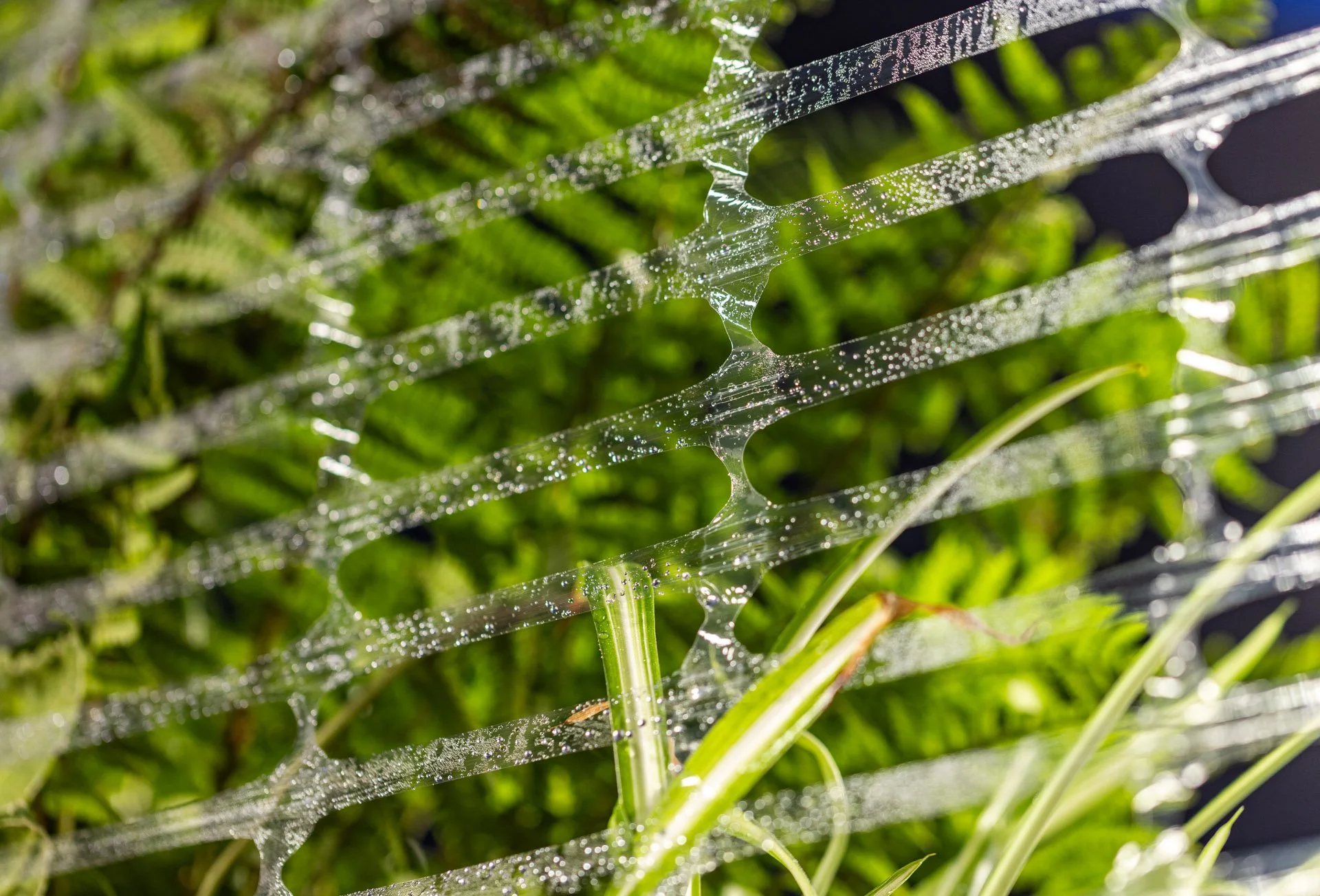 Plants and shrubs wrapped in ExcelAir ventilated pallet wrap allowing watering and preventing humidity damage
