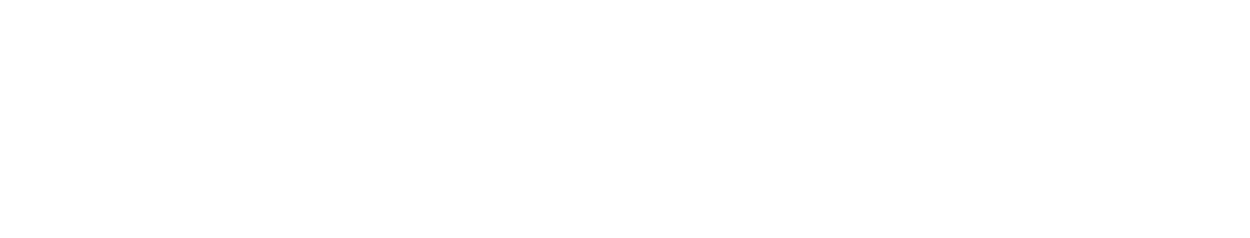 Noods Bar — Japanese Ramen House
