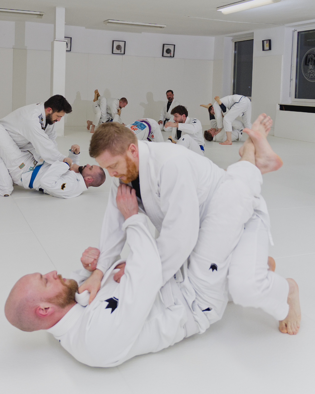 Brazilian Jiu-Jitsu im Gi: Trainingspartner üben gemeinsam bei Pound For Pound Kassel