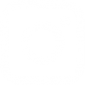 Instagram icon