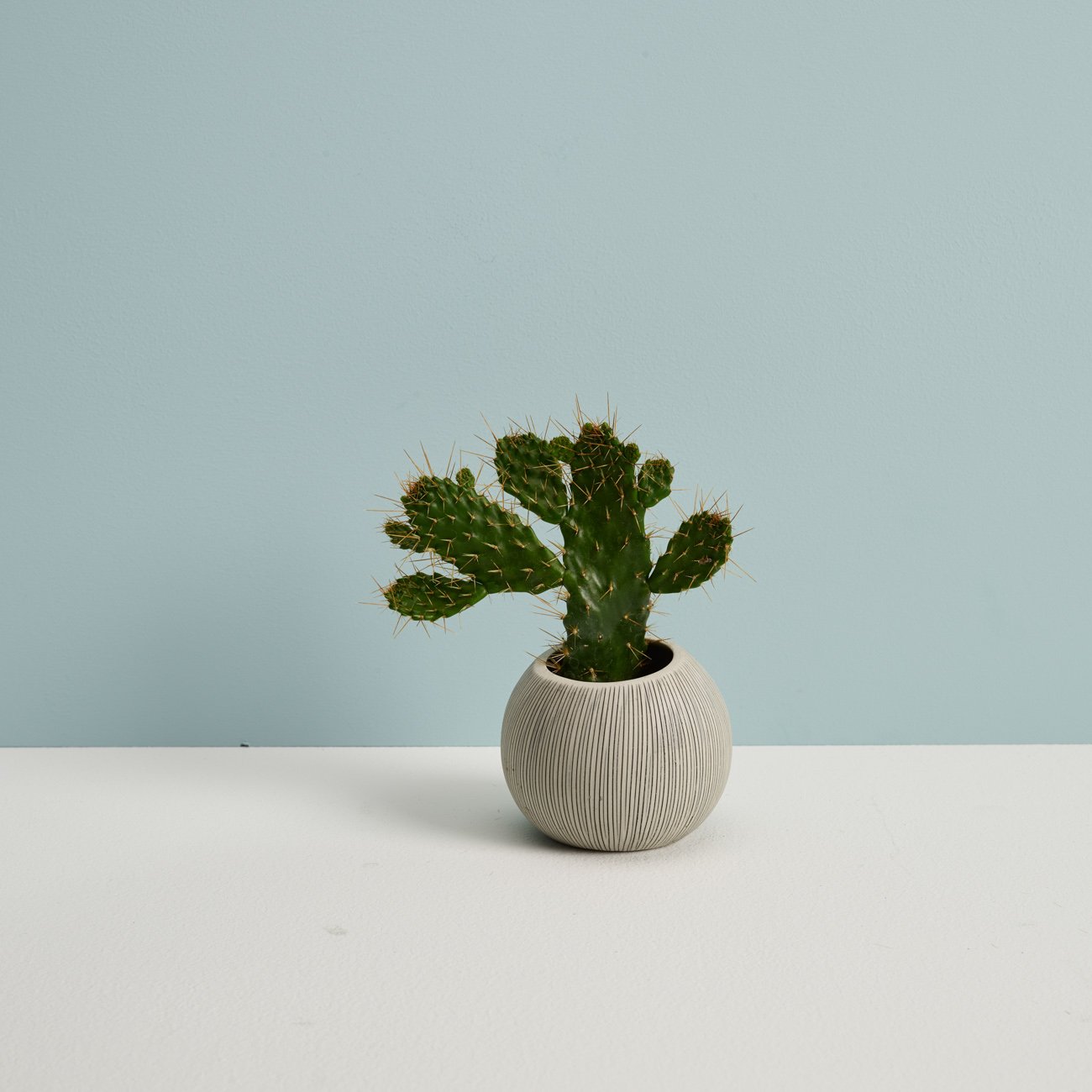 Dominguez retouching for Square Retail