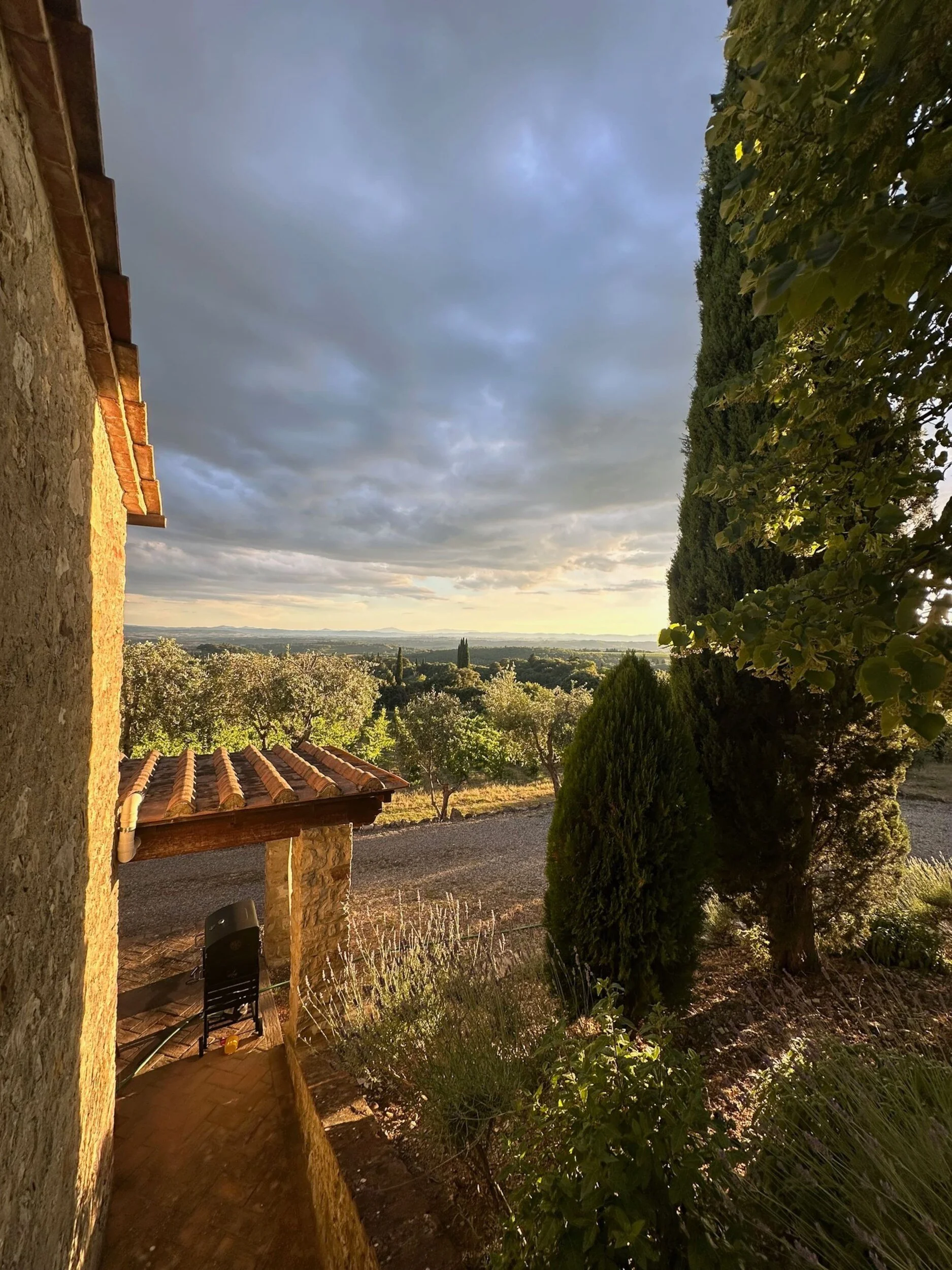A road and hills in the Tuscan landscape
