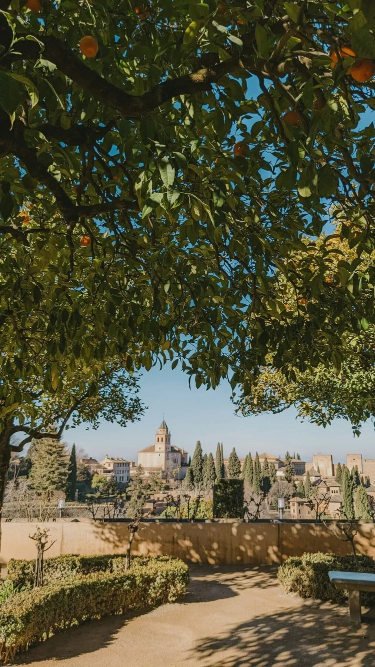 The Alhambra seen through the trees in Granada