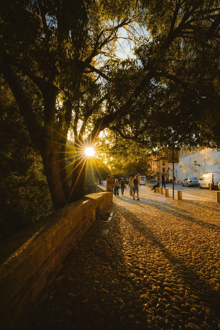 A tree-lined garden path in Granada at sunset