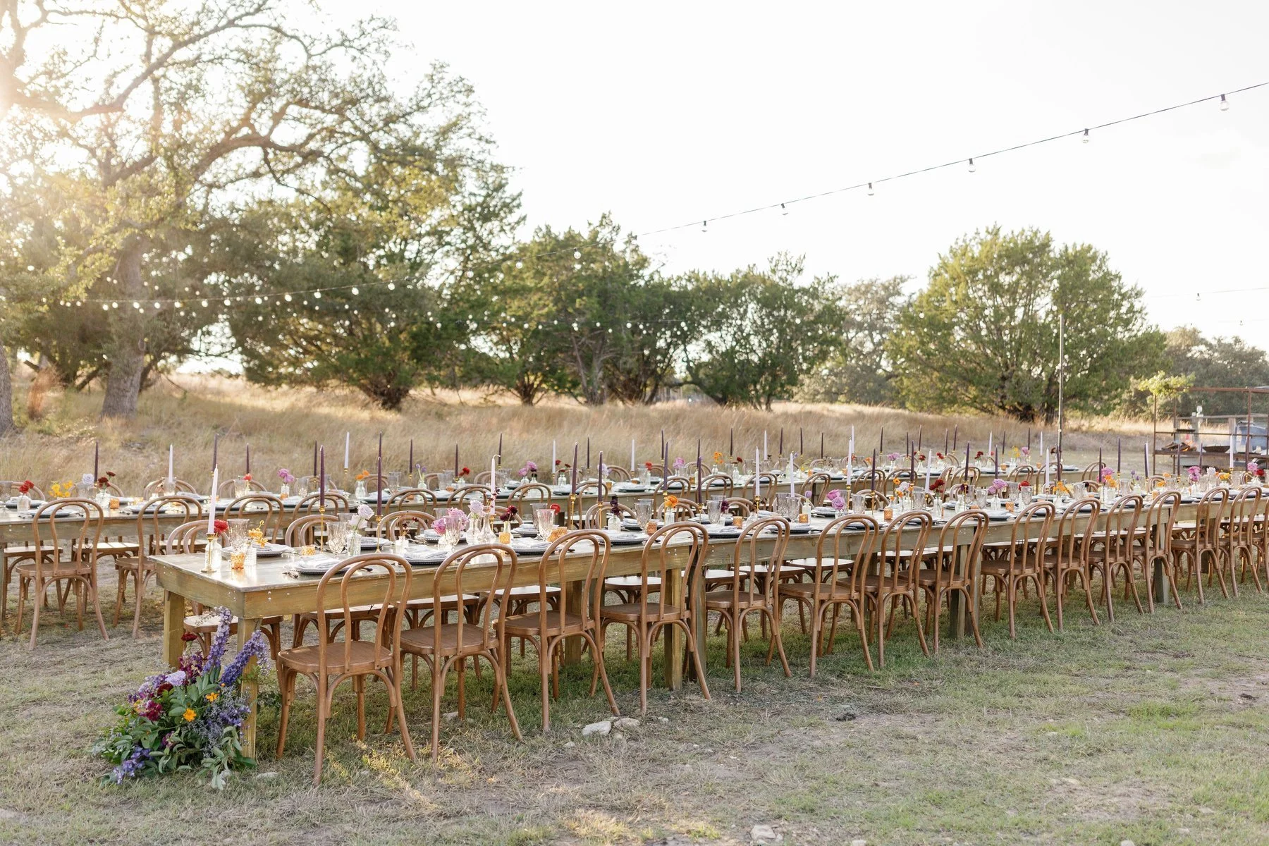 Long outdoor wedding tables set beneath string lights in late afternoon.