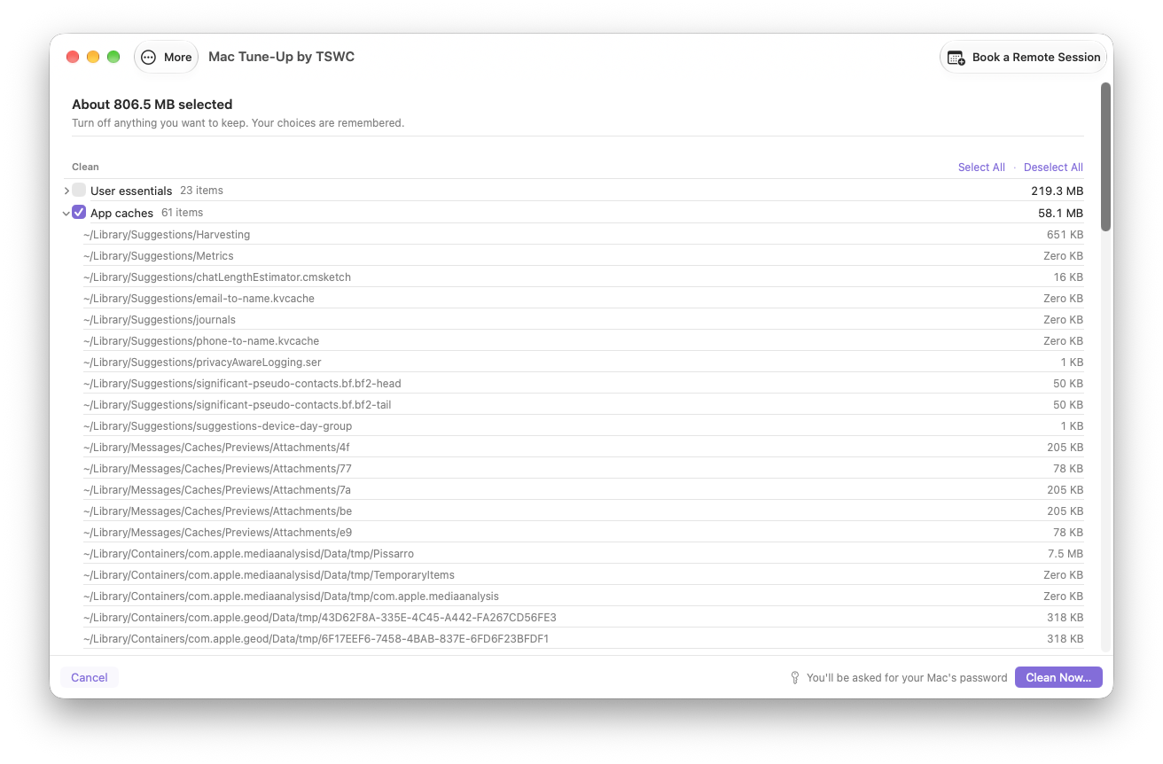 Check My Mac preview listing cleanup categories and sizes