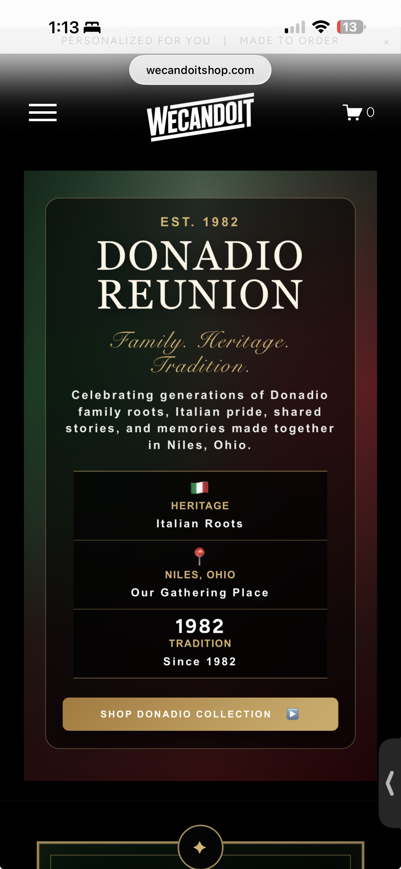Mobile website screenshot placeholder