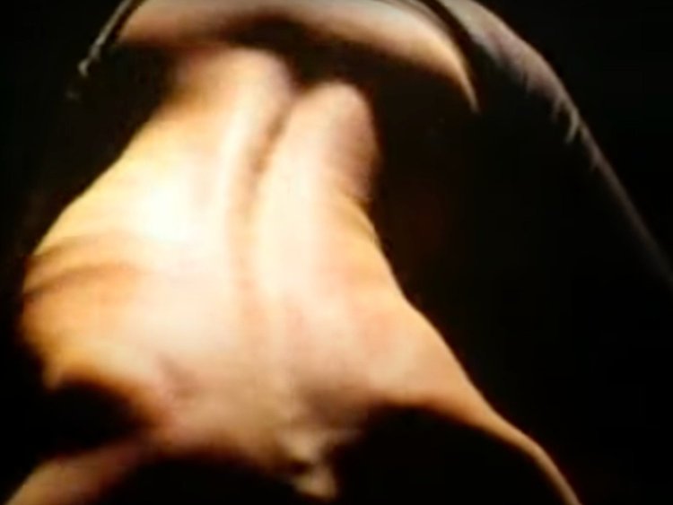 A screenshot of Susan Harper's spine during somatic movement practice.