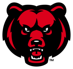 Chittenango High School logo