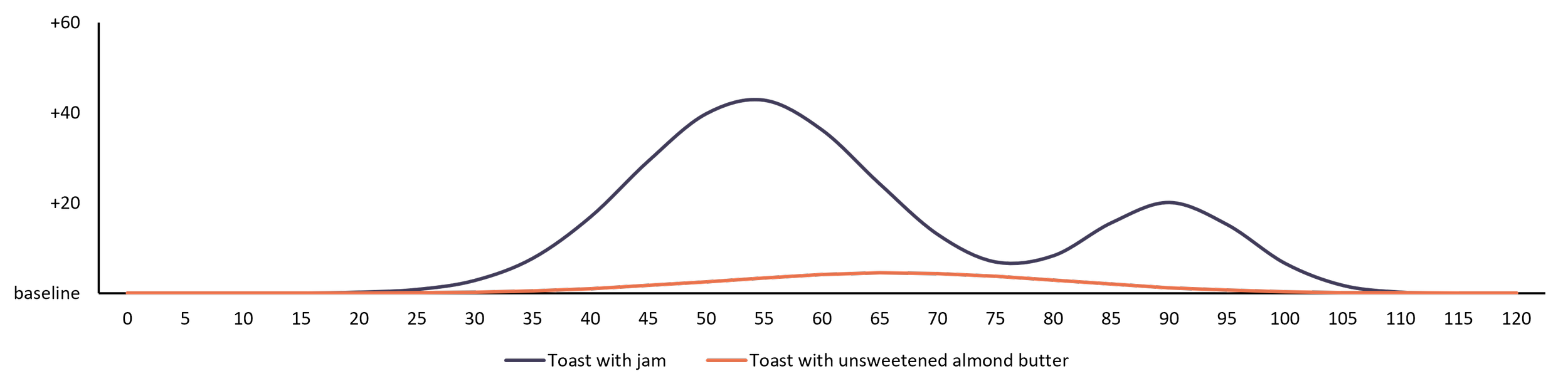 Illustrative glucose responses over two hours. Toast with jam shows a larger rise and a second smaller peak, while toast with unsweetened almond butter shows a gentler rise.