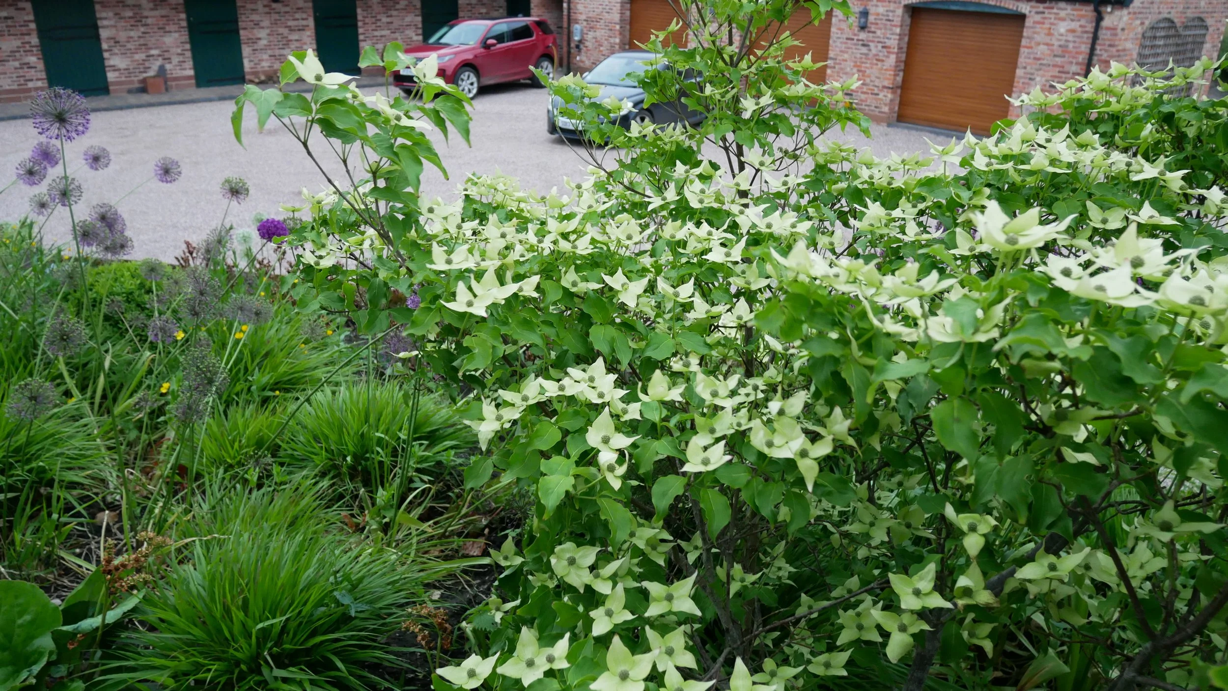 Broad lawn and structured planting establishing scale and openness