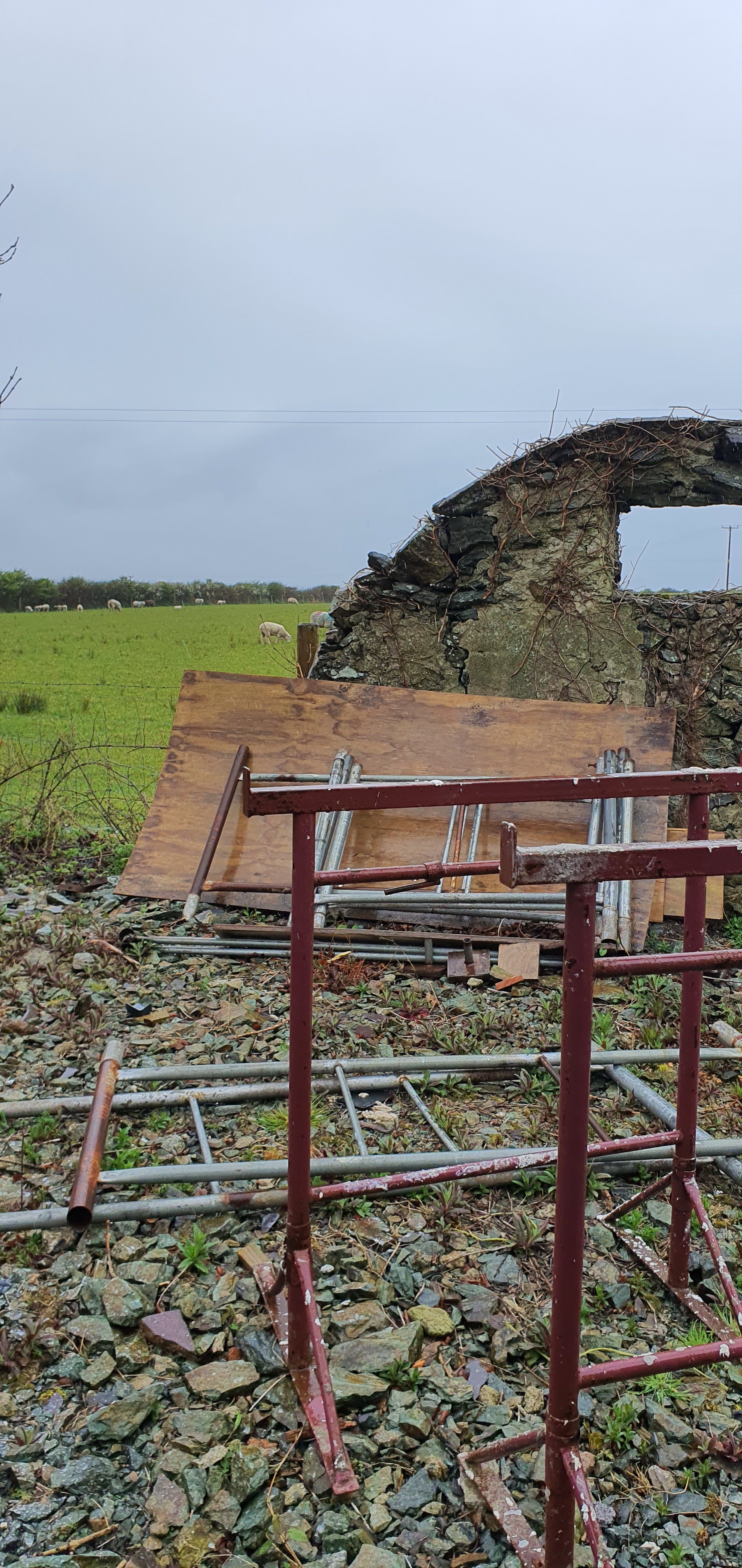 Existing farmhouse garden setting in Anglesey prior to landscape design
