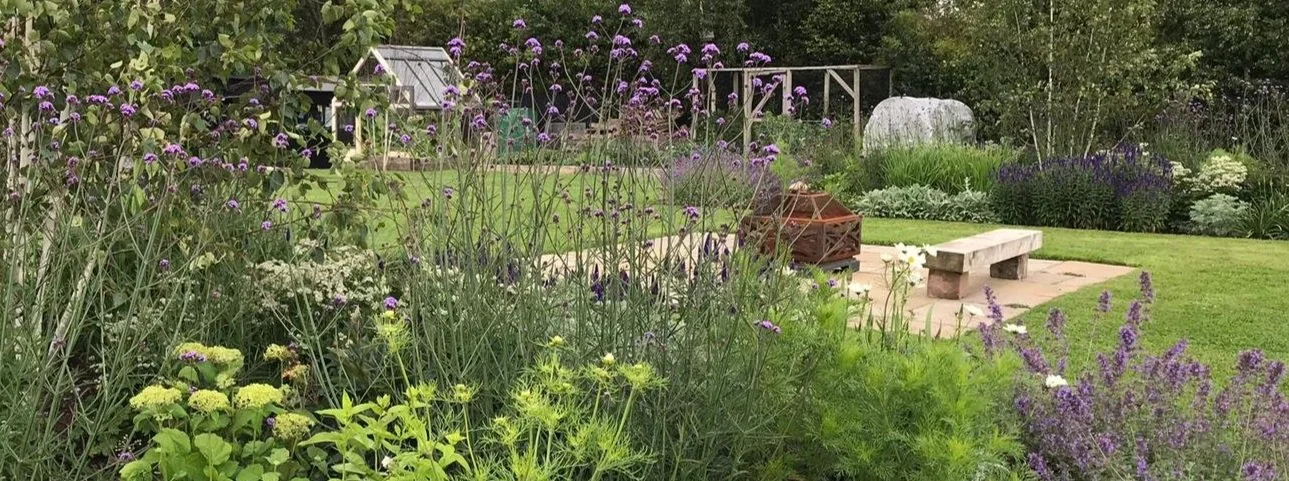 Architectural garden with pale paving and structured planting