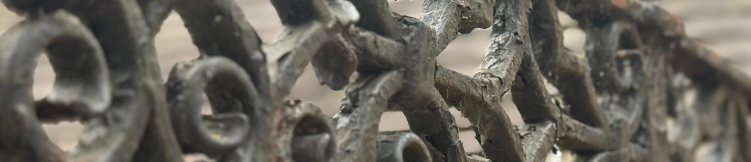 Garden design in Chester with structured planting and architectural layout