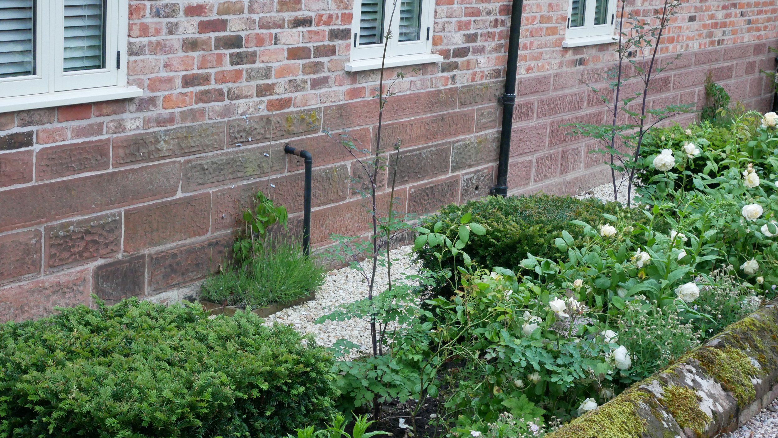 Layered planting creating enclosure and seasonal structure