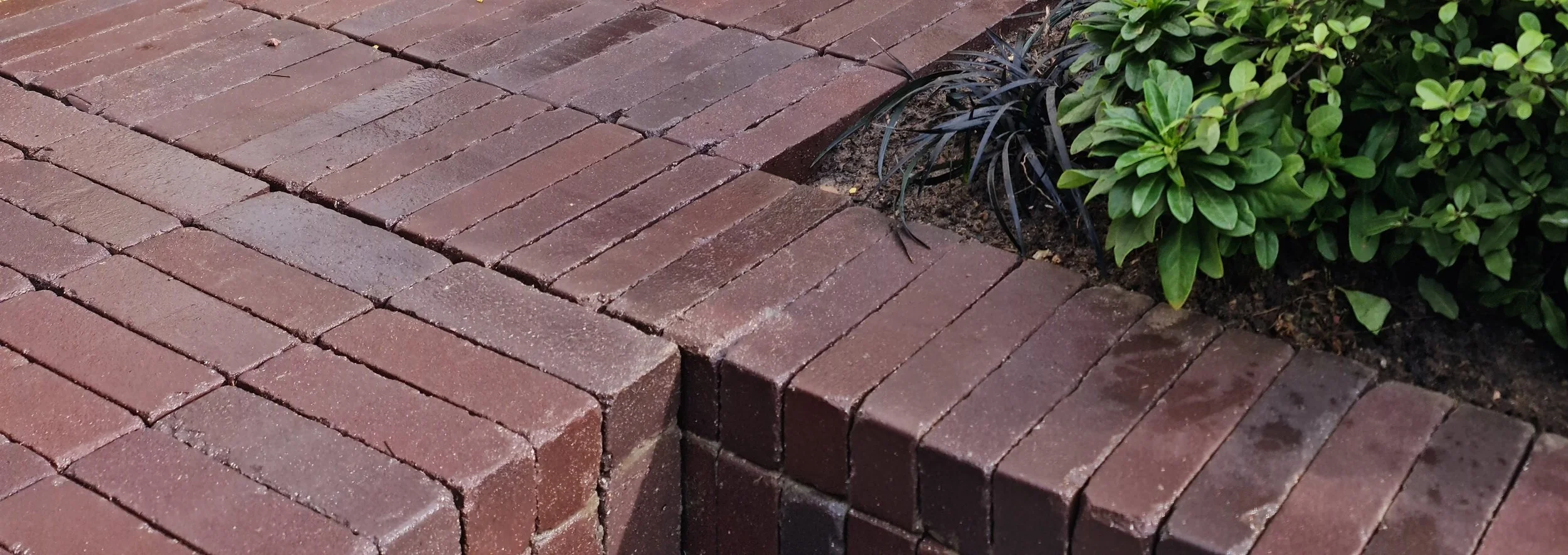 Clay steps and paving detail within a restrained contemporary garden